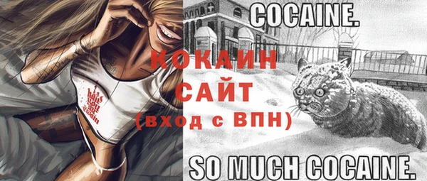 шишки Абдулино