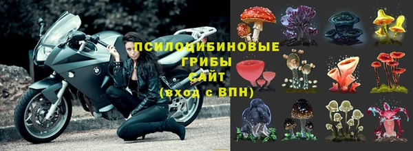 крисы Алексин