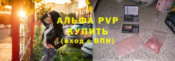 крисы Алексин