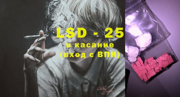 PSILOCYBIN Алзамай